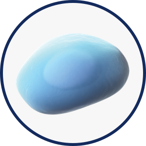Osteoclasts icon