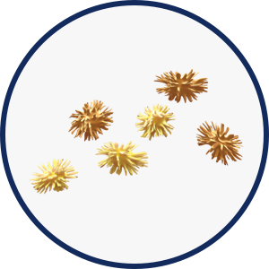 Cytokines icon