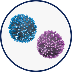 T cells icon