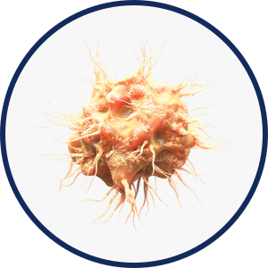 Dendritic cells icon